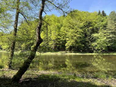 Yapay Trakoscan Gölü (Zagorje, Hırvatistan) - Die - Trakoscan oder kuenstlicher Trakoscansee (Kroatien) - Umjetno jezero ili Trakoscansko jezero (Hrvatsko zagorje, Hrvatska)