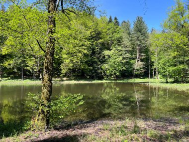Yapay Trakoscan Gölü (Zagorje, Hırvatistan) - Die - Trakoscan oder kuenstlicher Trakoscansee (Kroatien) - Umjetno jezero ili Trakoscansko jezero (Hrvatsko zagorje, Hrvatska)