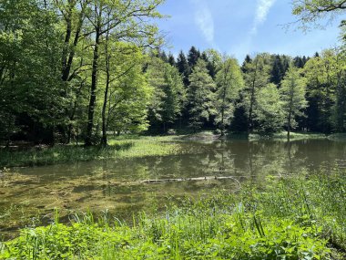 Yapay Trakoscan Gölü (Zagorje, Hırvatistan) - Die - Trakoscan oder kuenstlicher Trakoscansee (Kroatien) - Umjetno jezero ili Trakoscansko jezero (Hrvatsko zagorje, Hrvatska)