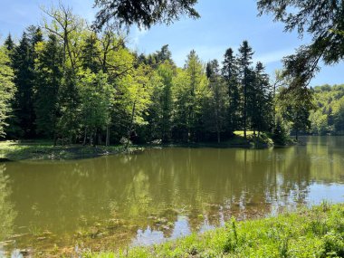 Yapay Trakoscan Gölü (Zagorje, Hırvatistan) - Die - Trakoscan oder kuenstlicher Trakoscansee (Kroatien) - Umjetno jezero ili Trakoscansko jezero (Hrvatsko zagorje, Hrvatska)
