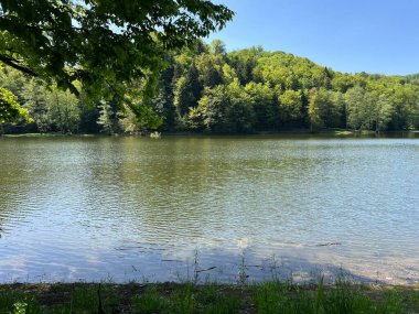 Yapay Trakoscan Gölü (Zagorje, Hırvatistan) - Die - Trakoscan oder kuenstlicher Trakoscansee (Kroatien) - Umjetno jezero ili Trakoscansko jezero (Hrvatsko zagorje, Hrvatska)