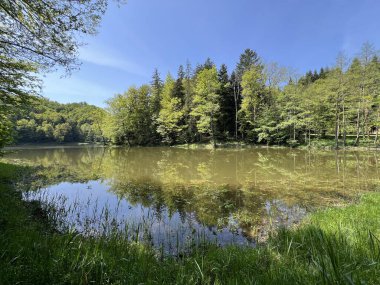 Yapay Trakoscan Gölü (Zagorje, Hırvatistan) - Die - Trakoscan oder kuenstlicher Trakoscansee (Kroatien) - Umjetno jezero ili Trakoscansko jezero (Hrvatsko zagorje, Hrvatska)