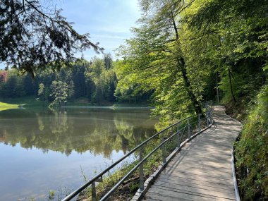 Trakoscan Gölü 'nün (Hırvatistan) çevresindeki eğitim yolu - Poucna staza' put Vila 'ili staze za setnju i rekreaciju oko Trakoscanskog jezera (Hrvatsko Zagorje, Hrvatska)
