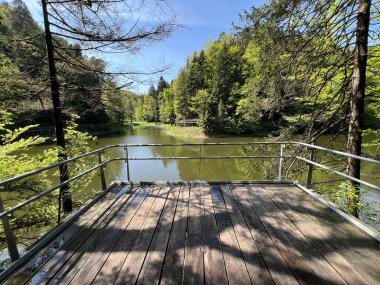 Trakoscan Gölü 'nün (Hırvatistan) çevresindeki eğitim yolu - Poucna staza' put Vila 'ili staze za setnju i rekreaciju oko Trakoscanskog jezera (Hrvatsko Zagorje, Hrvatska)