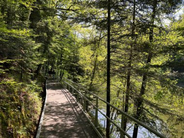 Trakoscan Gölü 'nün (Hırvatistan) çevresindeki eğitim yolu - Poucna staza' put Vila 'ili staze za setnju i rekreaciju oko Trakoscanskog jezera (Hrvatsko Zagorje, Hrvatska)