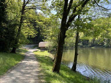 Trakoscan Gölü 'nün (Hırvatistan) çevresindeki eğitim yolu - Poucna staza' put Vila 'ili staze za setnju i rekreaciju oko Trakoscanskog jezera (Hrvatsko Zagorje, Hrvatska)