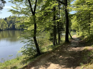 Trakoscan Gölü 'nün (Hırvatistan) çevresindeki eğitim yolu - Poucna staza' put Vila 'ili staze za setnju i rekreaciju oko Trakoscanskog jezera (Hrvatsko Zagorje, Hrvatska)