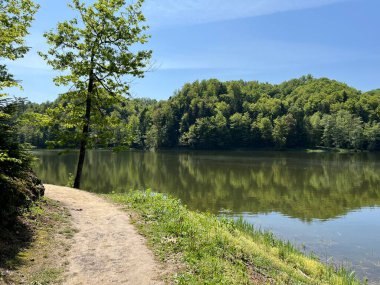 Trakoscan Gölü 'nün (Hırvatistan) çevresindeki eğitim yolu - Poucna staza' put Vila 'ili staze za setnju i rekreaciju oko Trakoscanskog jezera (Hrvatsko Zagorje, Hrvatska)