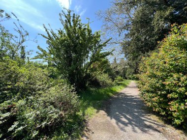 Bahçecilik anıtı Opeka (Hırvatistan) - Das Arboretum Opeka oder Pflanzensammlung im Park von Schloss Opeka (Kroatien) - Hortikulturni spomenik arboretum Opeka (Vinica, Hrvatska)