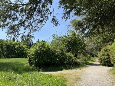 Bahçecilik anıtı Opeka (Hırvatistan) - Das Arboretum Opeka oder Pflanzensammlung im Park von Schloss Opeka (Kroatien) - Hortikulturni spomenik arboretum Opeka (Vinica, Hrvatska)