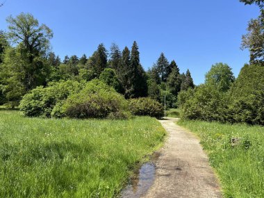 Bahçecilik anıtı Opeka (Hırvatistan) - Das Arboretum Opeka oder Pflanzensammlung im Park von Schloss Opeka (Kroatien) - Hortikulturni spomenik arboretum Opeka (Vinica, Hrvatska)
