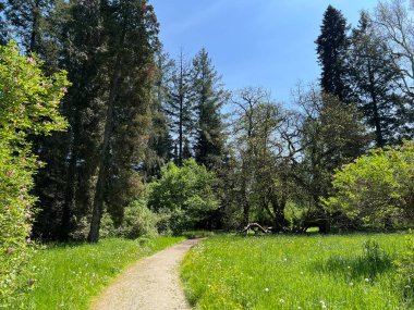 Bahçecilik anıtı Opeka (Hırvatistan) - Das Arboretum Opeka oder Pflanzensammlung im Park von Schloss Opeka (Kroatien) - Hortikulturni spomenik arboretum Opeka (Vinica, Hrvatska)