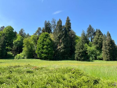 Bahçecilik anıtı Opeka (Hırvatistan) - Das Arboretum Opeka oder Pflanzensammlung im Park von Schloss Opeka (Kroatien) - Hortikulturni spomenik arboretum Opeka (Vinica, Hrvatska)