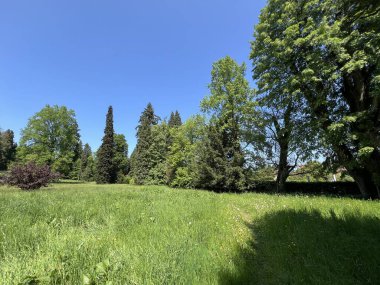 Bahçecilik anıtı Opeka (Hırvatistan) - Das Arboretum Opeka oder Pflanzensammlung im Park von Schloss Opeka (Kroatien) - Hortikulturni spomenik arboretum Opeka (Vinica, Hrvatska)