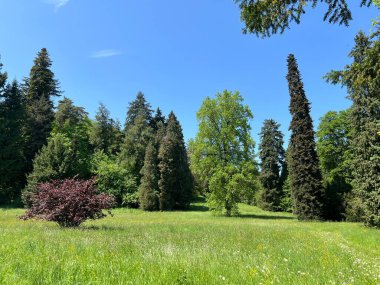 Bahçecilik anıtı Opeka (Hırvatistan) - Das Arboretum Opeka oder Pflanzensammlung im Park von Schloss Opeka (Kroatien) - Hortikulturni spomenik arboretum Opeka (Vinica, Hrvatska)