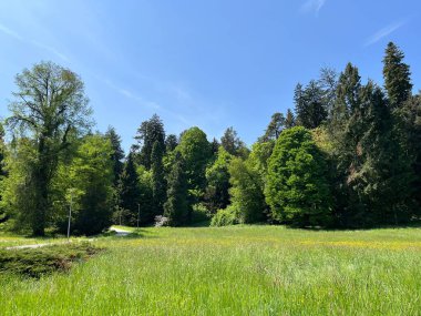 Bahçecilik anıtı Opeka (Hırvatistan) - Das Arboretum Opeka oder Pflanzensammlung im Park von Schloss Opeka (Kroatien) - Hortikulturni spomenik arboretum Opeka (Vinica, Hrvatska)