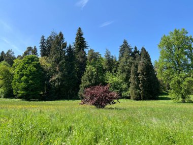 Bahçecilik anıtı Opeka (Hırvatistan) - Das Arboretum Opeka oder Pflanzensammlung im Park von Schloss Opeka (Kroatien) - Hortikulturni spomenik arboretum Opeka (Vinica, Hrvatska)