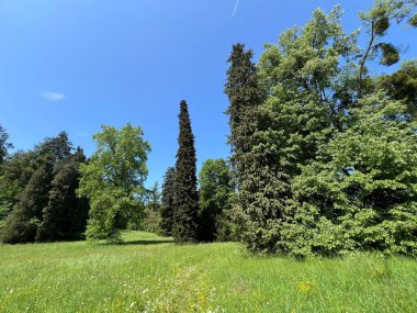 Bahçecilik anıtı Opeka (Hırvatistan) - Das Arboretum Opeka oder Pflanzensammlung im Park von Schloss Opeka (Kroatien) - Hortikulturni spomenik arboretum Opeka (Vinica, Hrvatska)