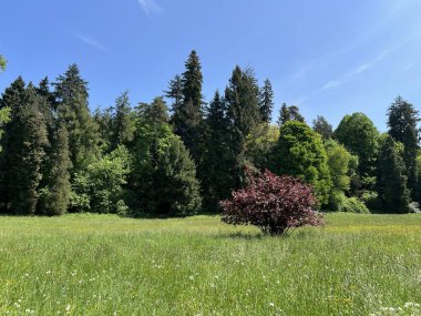 Bahçecilik anıtı Opeka (Hırvatistan) - Das Arboretum Opeka oder Pflanzensammlung im Park von Schloss Opeka (Kroatien) - Hortikulturni spomenik arboretum Opeka (Vinica, Hrvatska)