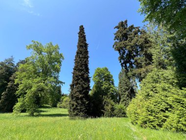 Bahçecilik anıtı Opeka (Hırvatistan) - Das Arboretum Opeka oder Pflanzensammlung im Park von Schloss Opeka (Kroatien) - Hortikulturni spomenik arboretum Opeka (Vinica, Hrvatska)