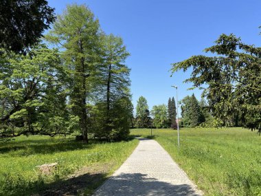Bahçecilik anıtı Opeka (Hırvatistan) - Das Arboretum Opeka oder Pflanzensammlung im Park von Schloss Opeka (Kroatien) - Hortikulturni spomenik arboretum Opeka (Vinica, Hrvatska)