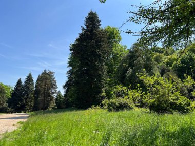 Bahçecilik anıtı Opeka (Hırvatistan) - Das Arboretum Opeka oder Pflanzensammlung im Park von Schloss Opeka (Kroatien) - Hortikulturni spomenik arboretum Opeka (Vinica, Hrvatska)