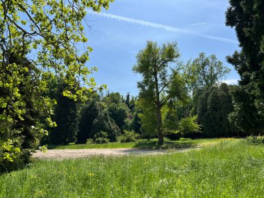 Bahçecilik anıtı Opeka (Hırvatistan) - Das Arboretum Opeka oder Pflanzensammlung im Park von Schloss Opeka (Kroatien) - Hortikulturni spomenik arboretum Opeka (Vinica, Hrvatska)