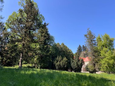 Bahçecilik anıtı Opeka (Hırvatistan) - Das Arboretum Opeka oder Pflanzensammlung im Park von Schloss Opeka (Kroatien) - Hortikulturni spomenik arboretum Opeka (Vinica, Hrvatska)