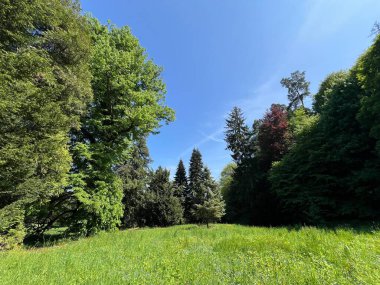 Bahçecilik anıtı Opeka (Hırvatistan) - Das Arboretum Opeka oder Pflanzensammlung im Park von Schloss Opeka (Kroatien) - Hortikulturni spomenik arboretum Opeka (Vinica, Hrvatska)