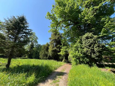 Bahçecilik anıtı Opeka (Hırvatistan) - Das Arboretum Opeka oder Pflanzensammlung im Park von Schloss Opeka (Kroatien) - Hortikulturni spomenik arboretum Opeka (Vinica, Hrvatska)
