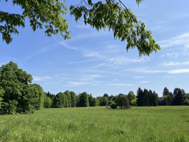 Bahçecilik anıtı Opeka (Hırvatistan) - Das Arboretum Opeka oder Pflanzensammlung im Park von Schloss Opeka (Kroatien) - Hortikulturni spomenik arboretum Opeka (Vinica, Hrvatska)