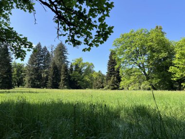 Bahçecilik anıtı Opeka (Hırvatistan) - Das Arboretum Opeka oder Pflanzensammlung im Park von Schloss Opeka (Kroatien) - Hortikulturni spomenik arboretum Opeka (Vinica, Hrvatska)