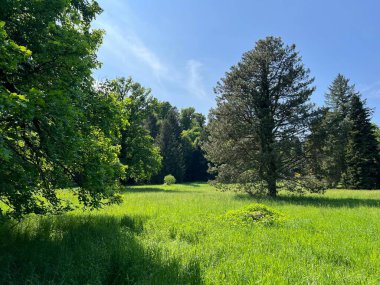 Bahçecilik anıtı Opeka (Hırvatistan) - Das Arboretum Opeka oder Pflanzensammlung im Park von Schloss Opeka (Kroatien) - Hortikulturni spomenik arboretum Opeka (Vinica, Hrvatska)
