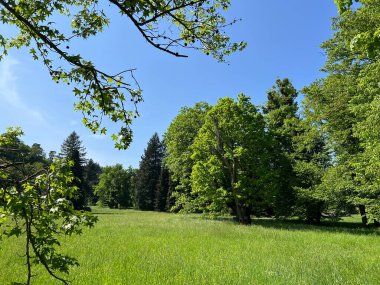 Bahçecilik anıtı Opeka (Hırvatistan) - Das Arboretum Opeka oder Pflanzensammlung im Park von Schloss Opeka (Kroatien) - Hortikulturni spomenik arboretum Opeka (Vinica, Hrvatska)