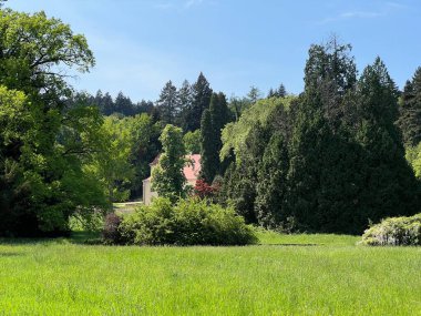 Bahçecilik anıtı Opeka (Hırvatistan) - Das Arboretum Opeka oder Pflanzensammlung im Park von Schloss Opeka (Kroatien) - Hortikulturni spomenik arboretum Opeka (Vinica, Hrvatska)