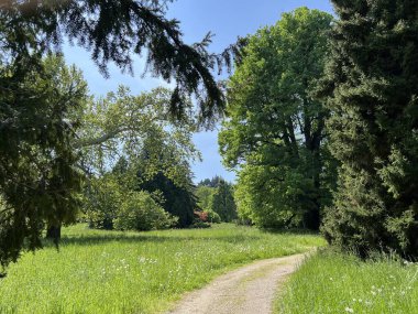 Bahçecilik anıtı Opeka (Hırvatistan) - Das Arboretum Opeka oder Pflanzensammlung im Park von Schloss Opeka (Kroatien) - Hortikulturni spomenik arboretum Opeka (Vinica, Hrvatska)