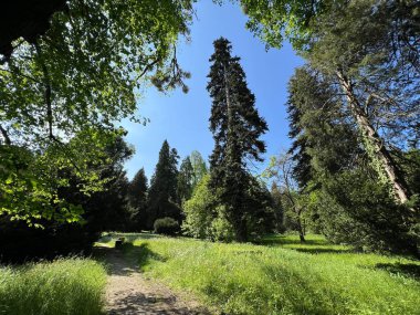 Bahçecilik anıtı Opeka (Hırvatistan) - Das Arboretum Opeka oder Pflanzensammlung im Park von Schloss Opeka (Kroatien) - Hortikulturni spomenik arboretum Opeka (Vinica, Hrvatska)