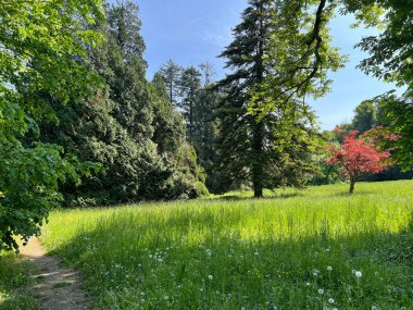 Bahçecilik anıtı Opeka (Hırvatistan) - Das Arboretum Opeka oder Pflanzensammlung im Park von Schloss Opeka (Kroatien) - Hortikulturni spomenik arboretum Opeka (Vinica, Hrvatska)