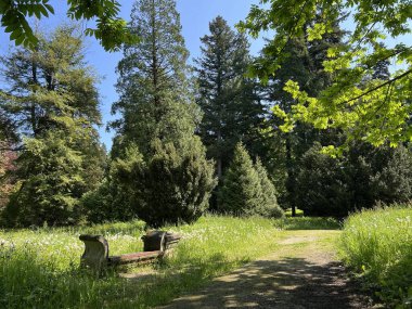 Bahçecilik anıtı Opeka (Hırvatistan) - Das Arboretum Opeka oder Pflanzensammlung im Park von Schloss Opeka (Kroatien) - Hortikulturni spomenik arboretum Opeka (Vinica, Hrvatska)