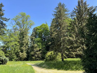 Bahçecilik anıtı Opeka (Hırvatistan) - Das Arboretum Opeka oder Pflanzensammlung im Park von Schloss Opeka (Kroatien) - Hortikulturni spomenik arboretum Opeka (Vinica, Hrvatska)