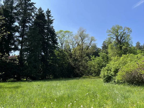 Bahçecilik anıtı Opeka (Hırvatistan) - Das Arboretum Opeka oder Pflanzensammlung im Park von Schloss Opeka (Kroatien) - Hortikulturni spomenik arboretum Opeka (Vinica, Hrvatska)