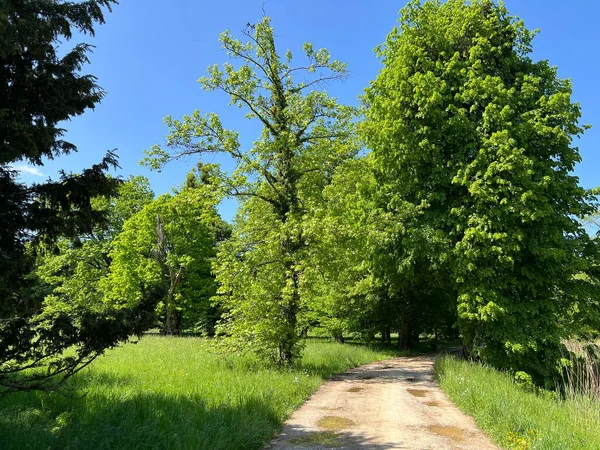 Bahçecilik anıtı Opeka (Hırvatistan) - Das Arboretum Opeka oder Pflanzensammlung im Park von Schloss Opeka (Kroatien) - Hortikulturni spomenik arboretum Opeka (Vinica, Hrvatska)