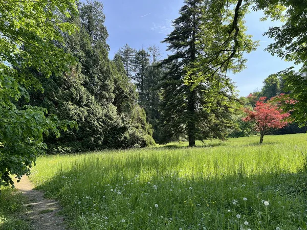 Bahçecilik anıtı Opeka (Hırvatistan) - Das Arboretum Opeka oder Pflanzensammlung im Park von Schloss Opeka (Kroatien) - Hortikulturni spomenik arboretum Opeka (Vinica, Hrvatska)
