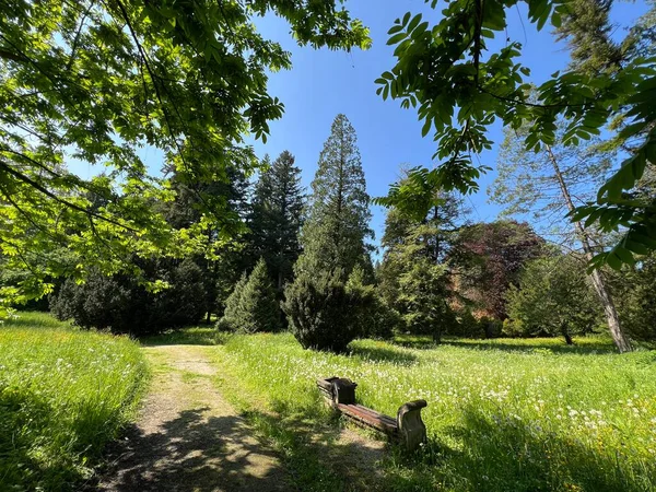 Bahçecilik anıtı Opeka (Hırvatistan) - Das Arboretum Opeka oder Pflanzensammlung im Park von Schloss Opeka (Kroatien) - Hortikulturni spomenik arboretum Opeka (Vinica, Hrvatska)