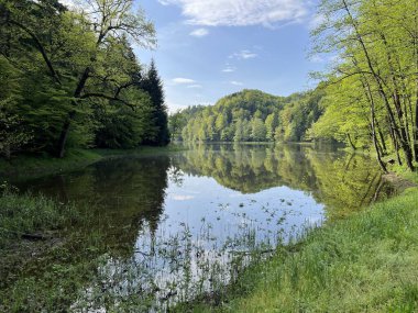 Yapay Trakoscan Gölü (Zagorje, Hırvatistan) - Die - Trakoscan oder kuenstlicher Trakoscansee (Kroatien) - Umjetno jezero ili Trakoscansko jezero (Hrvatsko zagorje, Hrvatska)