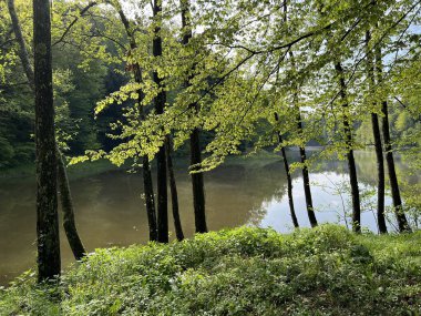 Yapay Trakoscan Gölü (Zagorje, Hırvatistan) - Die - Trakoscan oder kuenstlicher Trakoscansee (Kroatien) - Umjetno jezero ili Trakoscansko jezero (Hrvatsko zagorje, Hrvatska)