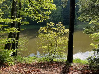 Yapay Trakoscan Gölü (Zagorje, Hırvatistan) - Die - Trakoscan oder kuenstlicher Trakoscansee (Kroatien) - Umjetno jezero ili Trakoscansko jezero (Hrvatsko zagorje, Hrvatska)