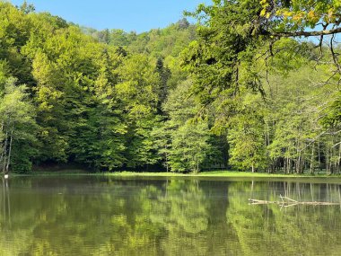 Yapay Trakoscan Gölü (Zagorje, Hırvatistan) - Die - Trakoscan oder kuenstlicher Trakoscansee (Kroatien) - Umjetno jezero ili Trakoscansko jezero (Hrvatsko zagorje, Hrvatska)