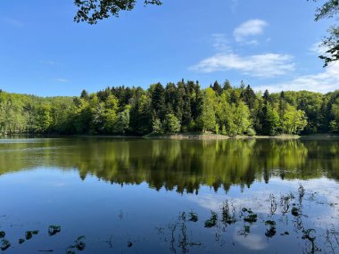 Yapay Trakoscan Gölü (Zagorje, Hırvatistan) - Die - Trakoscan oder kuenstlicher Trakoscansee (Kroatien) - Umjetno jezero ili Trakoscansko jezero (Hrvatsko zagorje, Hrvatska)