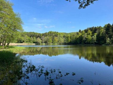 Yapay Trakoscan Gölü (Zagorje, Hırvatistan) - Die - Trakoscan oder kuenstlicher Trakoscansee (Kroatien) - Umjetno jezero ili Trakoscansko jezero (Hrvatsko zagorje, Hrvatska)